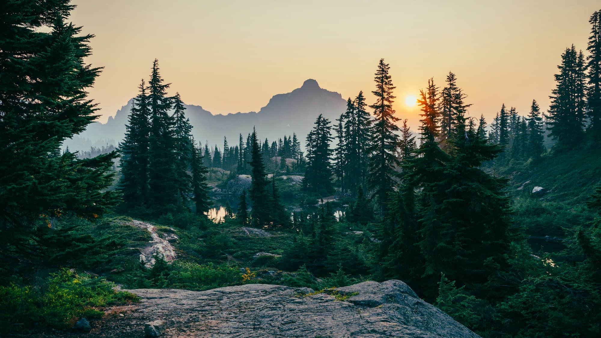 A mountain forest illuminated by the rising sun